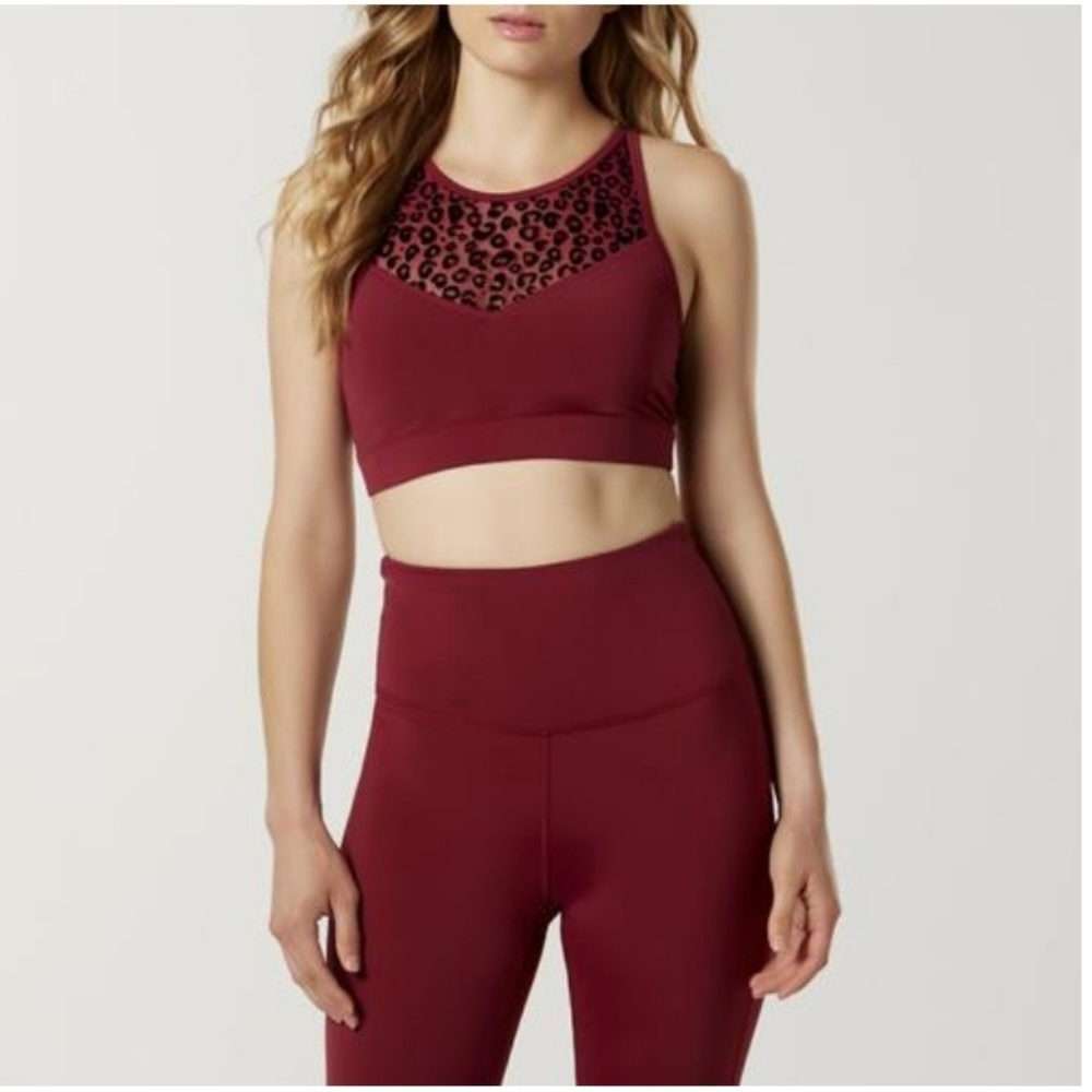 Everlast Sports Bra